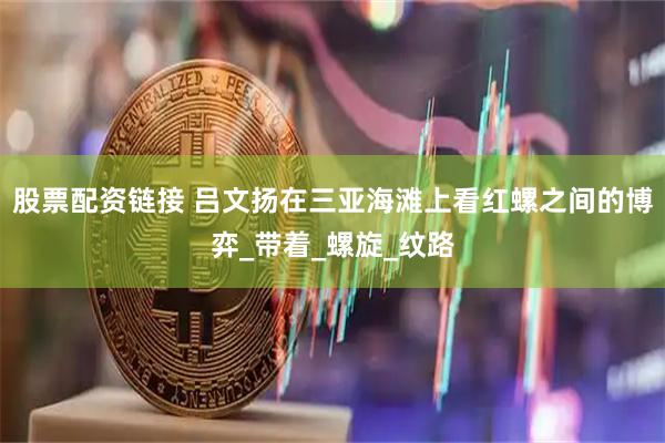 股票配资链接 吕文扬在三亚海滩上看红螺之间的博弈_带着_螺旋_纹路