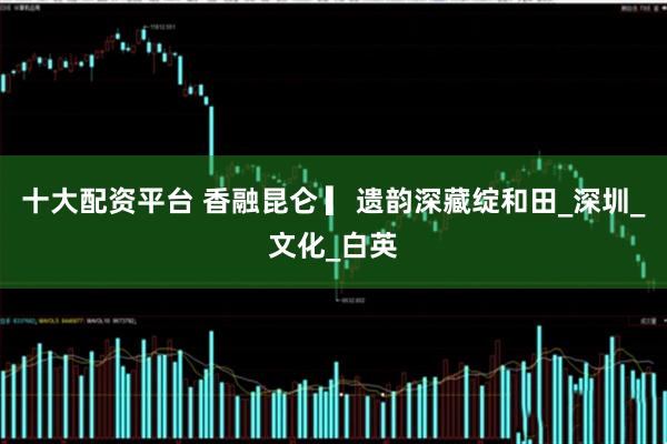 十大配资平台 香融昆仑 ▎遗韵深藏绽和田_深圳_文化_白英