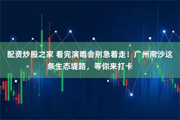 配资炒股之家 看完演唱会别急着走！广州南沙这条生态堤路，等你来打卡